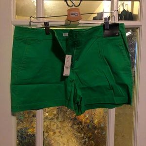 NWT New York & Co  green 3" shorts Size 10